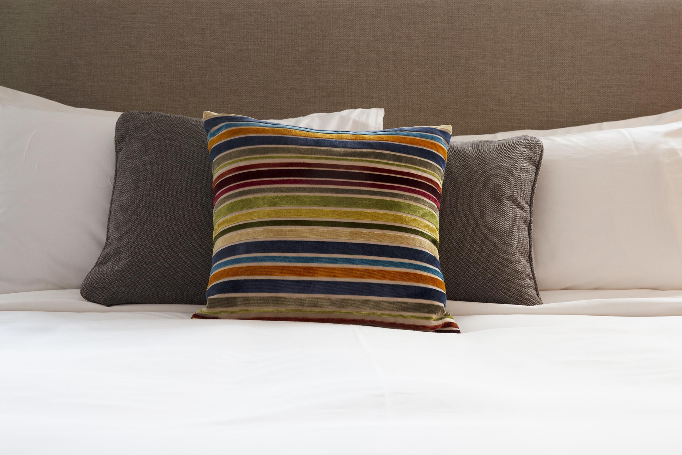Ovolo